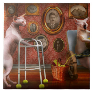 Animal - Cat - Retirement home for cats Ceramic Tile