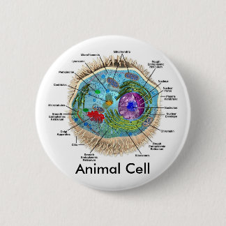 Animal Cell 6 Cm Round Badge