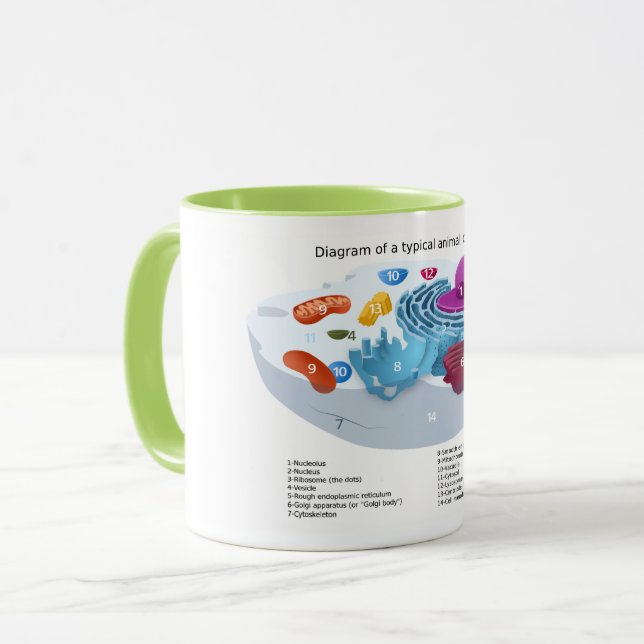 Animal Cell Diagram labelled  Mug (Front Left)