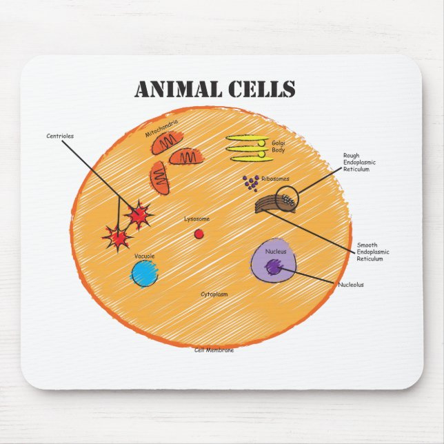 Animal Cell Diagram Mouse Pad (Front)