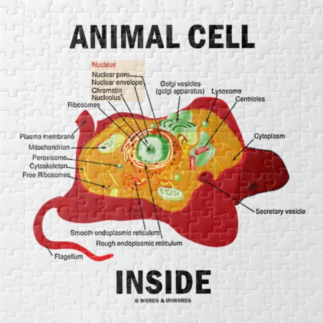 Animal Cell Inside (Biology Eukaryotic Cell) Jigsaw Puzzle (Jigsaw puzzle for anyone with eukaryotic cells featuring biology truism saying "Animal Cell Inside")