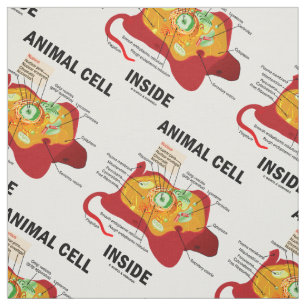 Animal Cell Inside Eukaryote Diagram Fabric