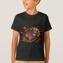 Animal cell