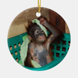 Animal Charity Donations Ceramic Tree Decoration