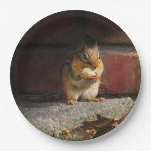 Animal - Chipmunk - It's all mine Paper Plate