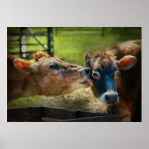Animal - Cow - Let mummy clean that Poster