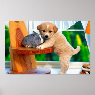 Animal Cuteness Poster