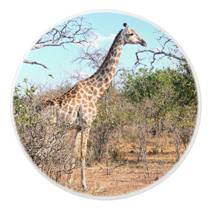 ANIMAL DECOR FOR CHILD'S ROOM/GIRAFFE CERAMIC KNOB