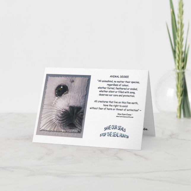 "ANIMAL DECREE" Cards (Front)