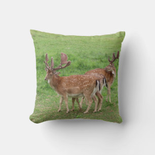 animal, deer, wildlife, forest, meadow, hunting, G Cushion