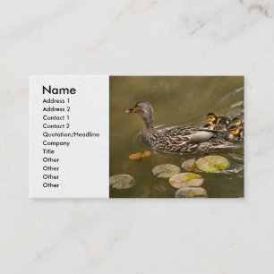 Animal - Ducks - Swim like a duck Business Card