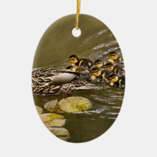Animal - Ducks - Swim like a duck Ceramic Ornament