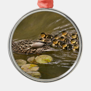Animal - Ducks - Swim like a duck Metal Ornament