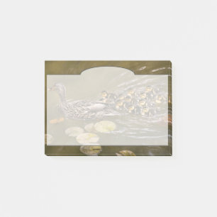 Animal - Ducks - Swim like a duck Post-it Notes