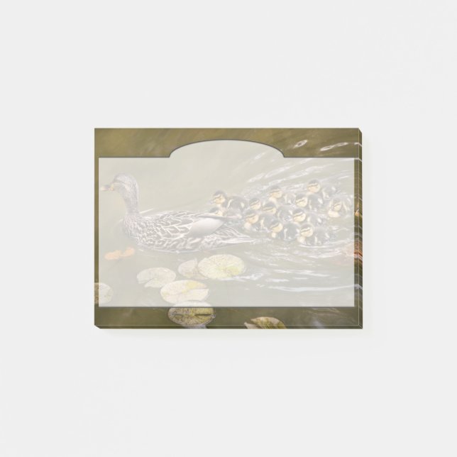 Animal - Ducks - Swim like a duck Post-it Notes (Front)