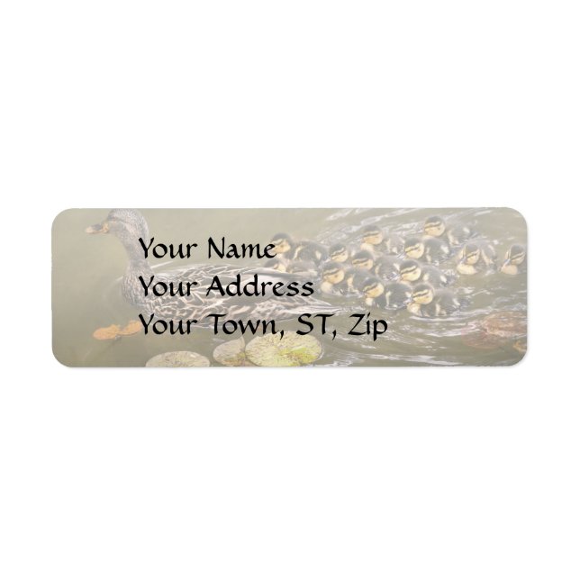 Animal - Ducks - Swim like a duck Return Address Label (Front)