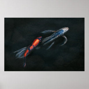 Animal - Fish - Beauty and Grace Poster