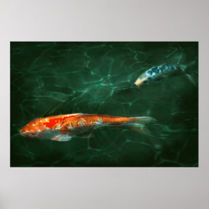 Animal - Fish - Koi - Another fish story Poster