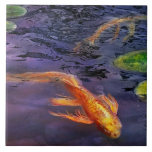 Animal - Fish - There's something about koi Tile