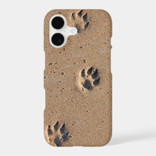 Animal footprints in the sand