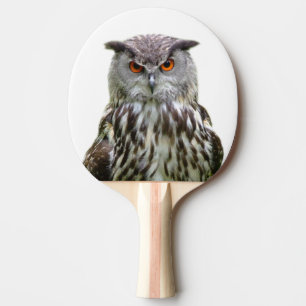Animal forest owl bird photo ping pong paddle