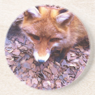 Animal Fox Forest Office Party Shower Digital Art Coaster