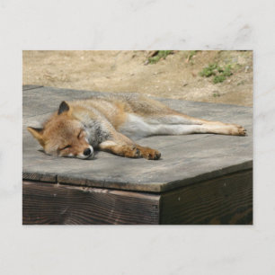 Animal Fox Forest Office Party Shower Digital Art Invitation Postcard