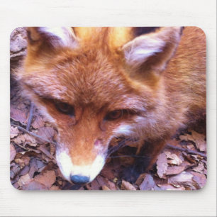 Animal Fox Forest Office Party Shower Digital Art Mouse Pad
