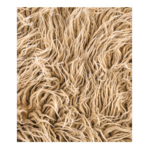 Animal fur photo print