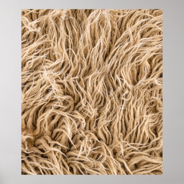 Animal fur poster (Front)