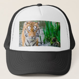 Animal, hat, for sale ! trucker hat