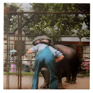 Animal - Hippo - Stupid human tricks 1910 Tile