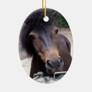Animal, Horse, Pony Ceramic Ornament