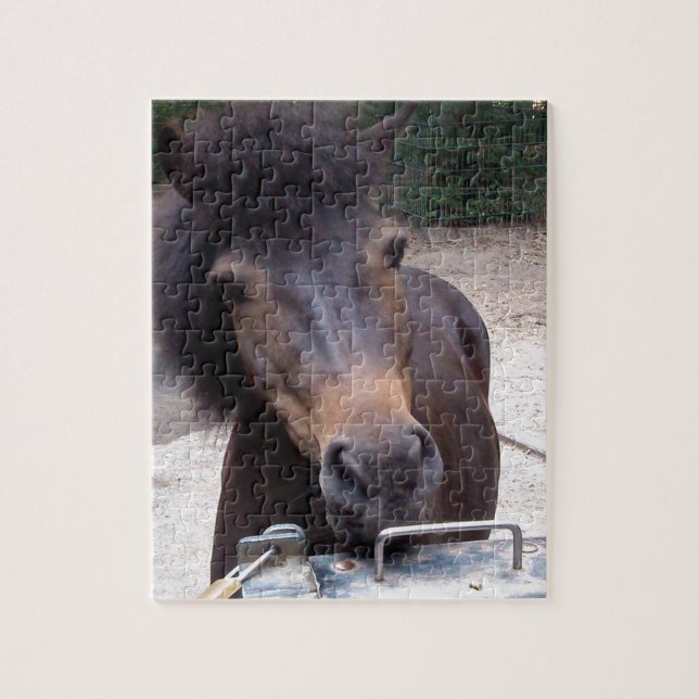 Animal, Horse, Pony Jigsaw Puzzle (Vertical)