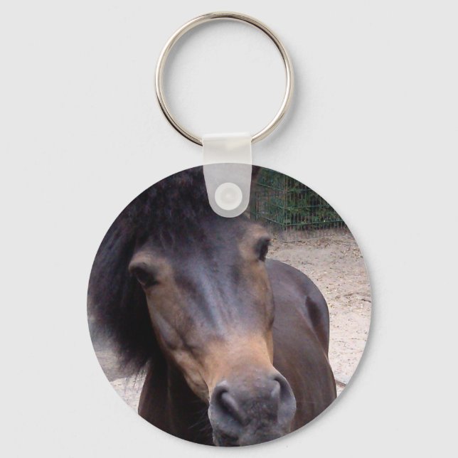 Animal, Horse, Pony Key Ring (Front)