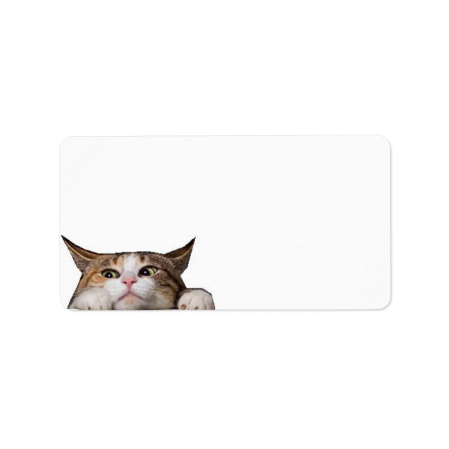 "Animal Hospital" Label (Front)