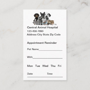 Animal Hospital Veterinary Appointment Cards