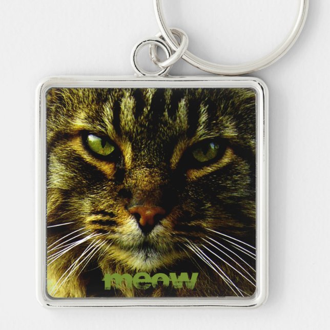 Animal Hypnotising Cat Eyes Photo Key Ring (Front)