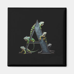 Animal Iguanas Vintage Rap Hip-hop  Magnet