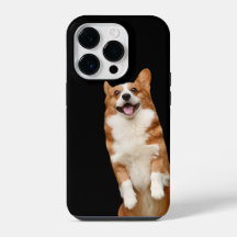 Animal Kingdom - Awesome Cute Corgi