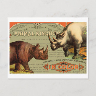 Animal Kingdom Rhinoceros Postcard