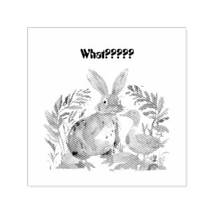 Animal Kingdom - What???? Self-inking Stamp
