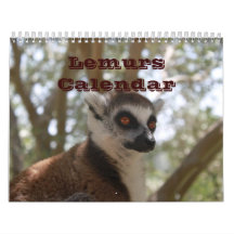 Animal Lemur Cute Nature Zoo Custom Destiny