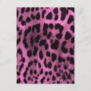 Animal leopard print - pink postcard