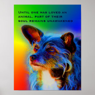 Animal Love Quote Inspirational Poster
