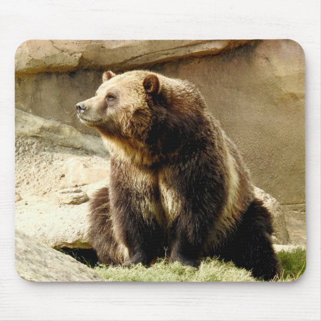 Animal Mousepad Series - Grizzly Bear (Front)