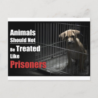 Animal Not Prisoners Postcard