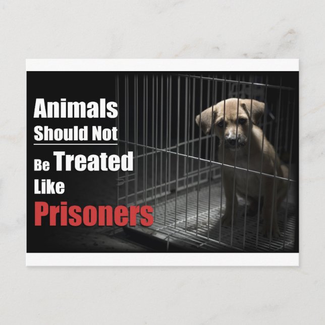 Animal Not Prisoners Postcard (Front)
