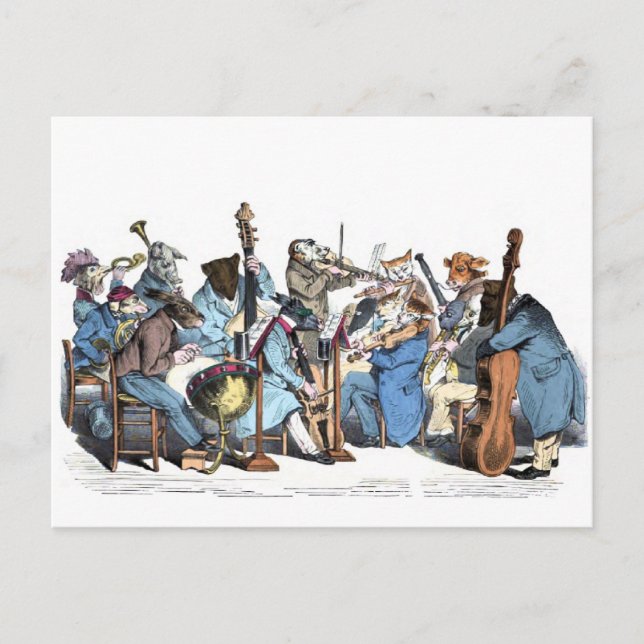 Animal Orchestra Postcard (Front)