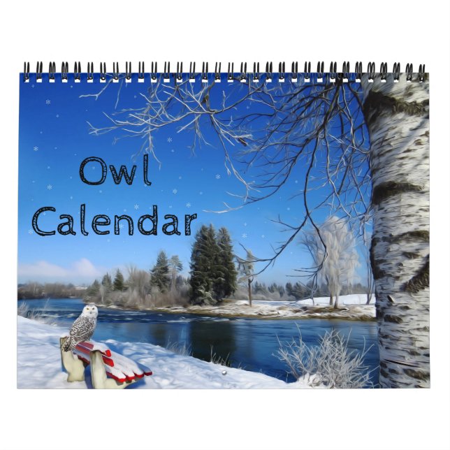 Animal Owl Bird Life Office Home Destiny'S Destiny Calendar (Cover)